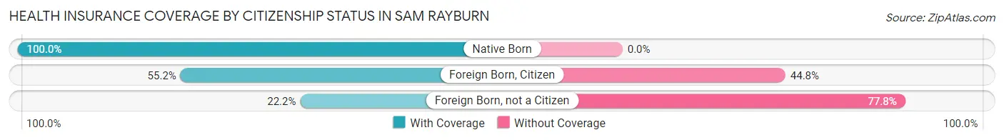Health Insurance Coverage by Citizenship Status in Sam Rayburn