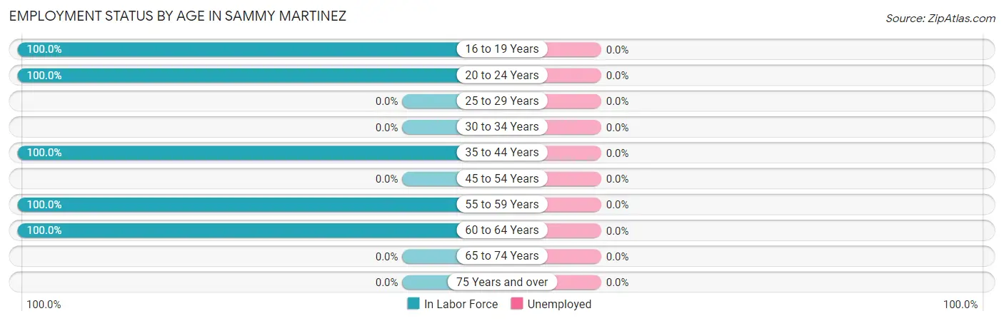 Employment Status by Age in Sammy Martinez