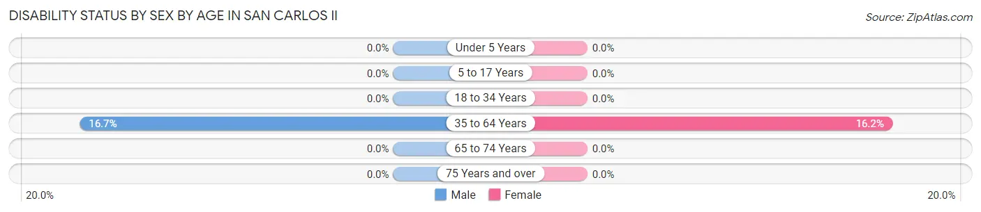 Disability Status by Sex by Age in San Carlos II