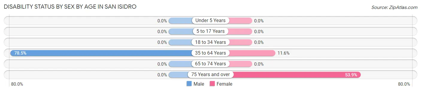 Disability Status by Sex by Age in San Isidro