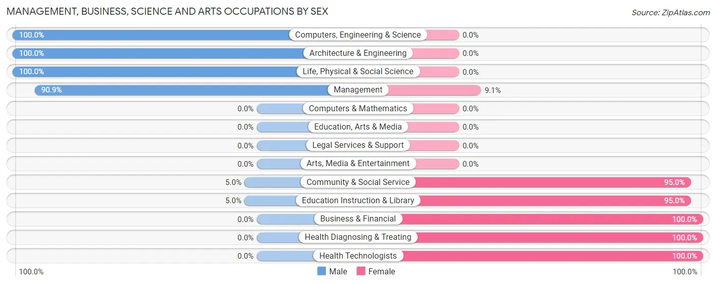 Management, Business, Science and Arts Occupations by Sex in San Patricio