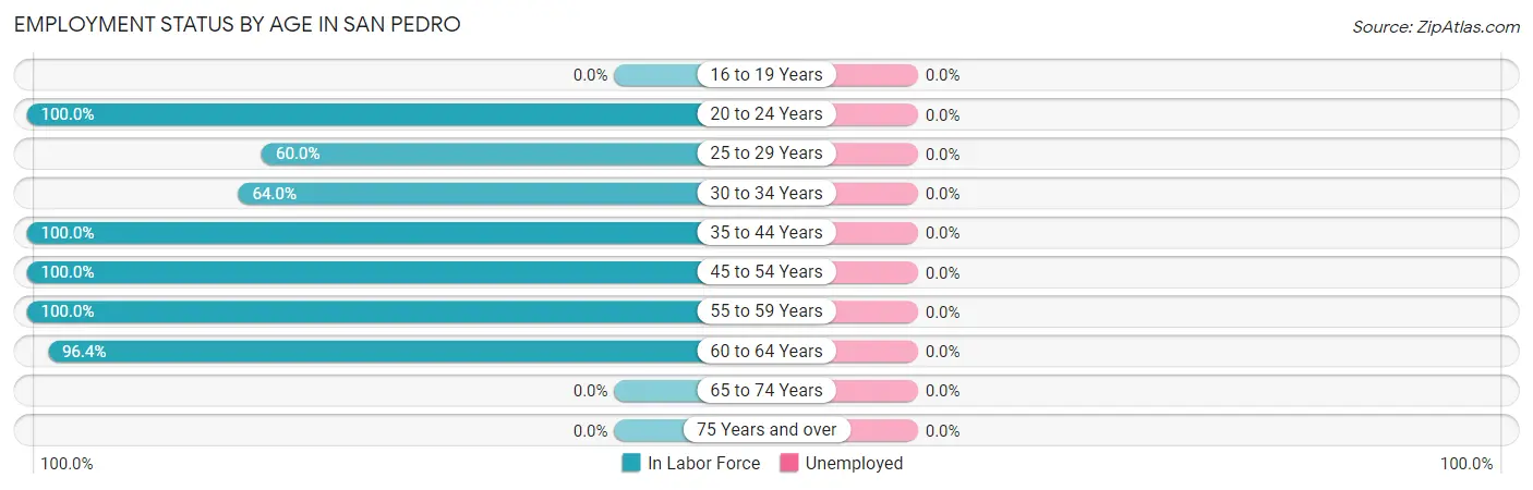 Employment Status by Age in San Pedro