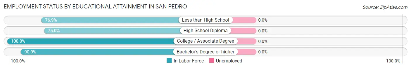 Employment Status by Educational Attainment in San Pedro