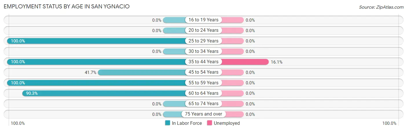 Employment Status by Age in San Ygnacio