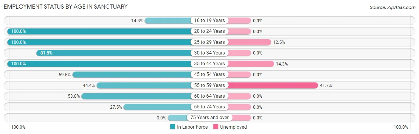 Employment Status by Age in Sanctuary