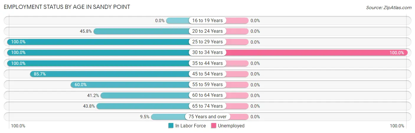 Employment Status by Age in Sandy Point