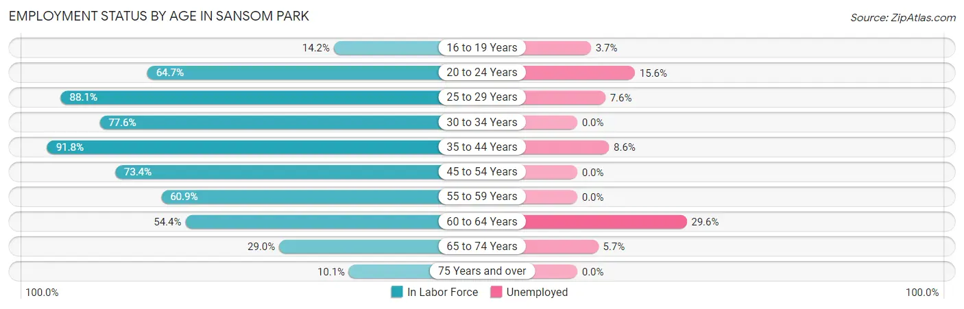 Employment Status by Age in Sansom Park