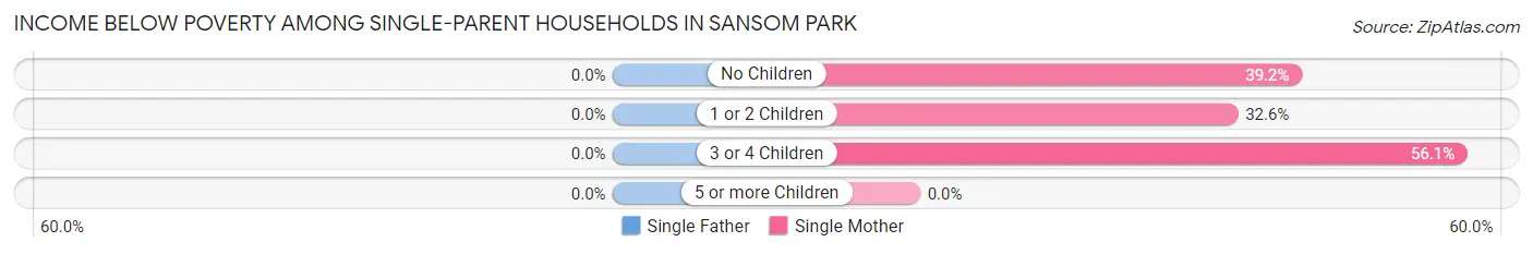Income Below Poverty Among Single-Parent Households in Sansom Park