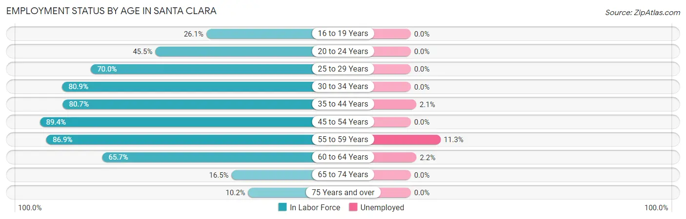 Employment Status by Age in Santa Clara