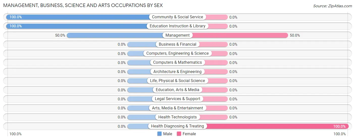 Management, Business, Science and Arts Occupations by Sex in Santa Maria