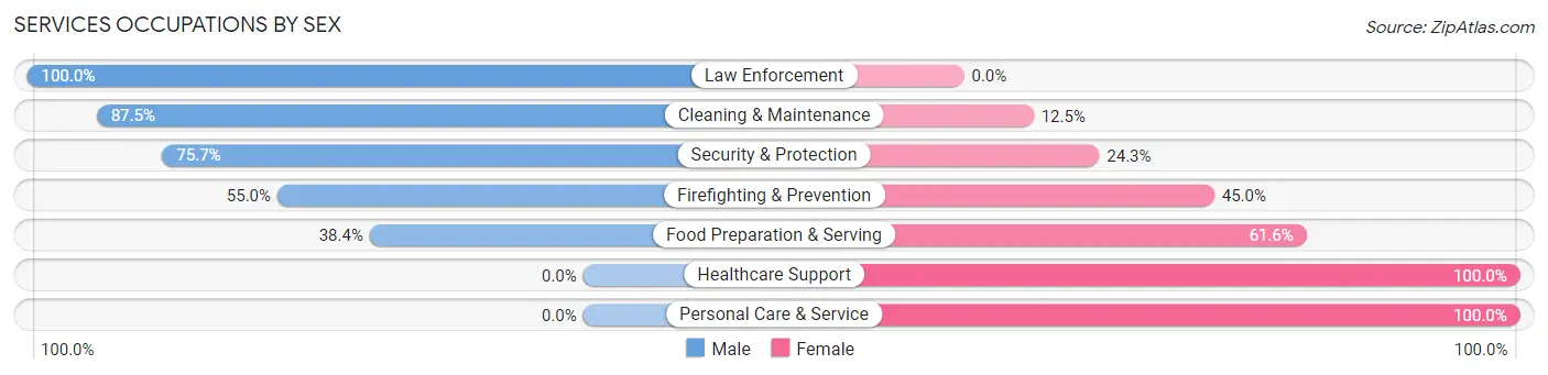 Services Occupations by Sex in Schulenburg