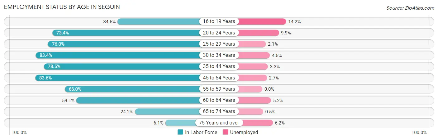 Employment Status by Age in Seguin