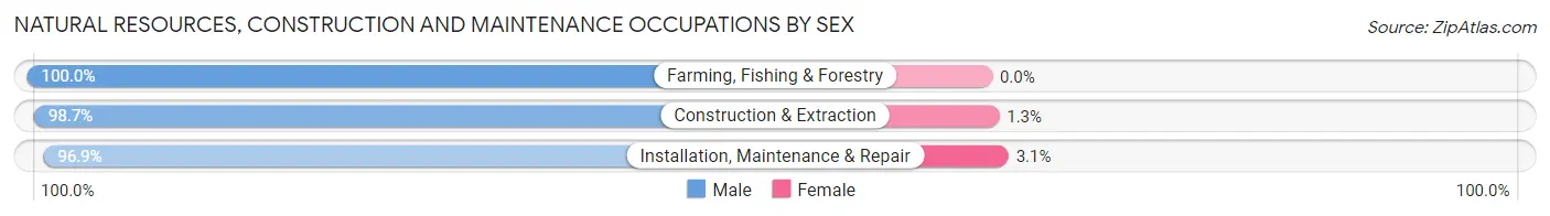 Natural Resources, Construction and Maintenance Occupations by Sex in Seguin