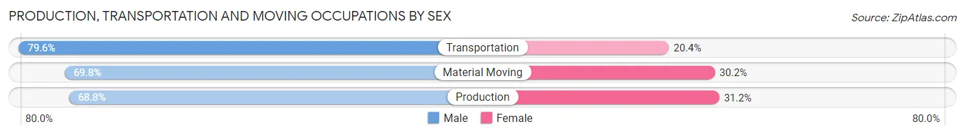 Production, Transportation and Moving Occupations by Sex in Seguin