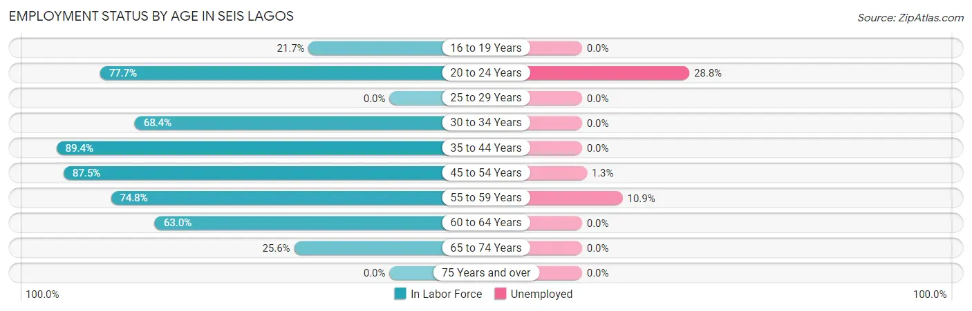 Employment Status by Age in Seis Lagos