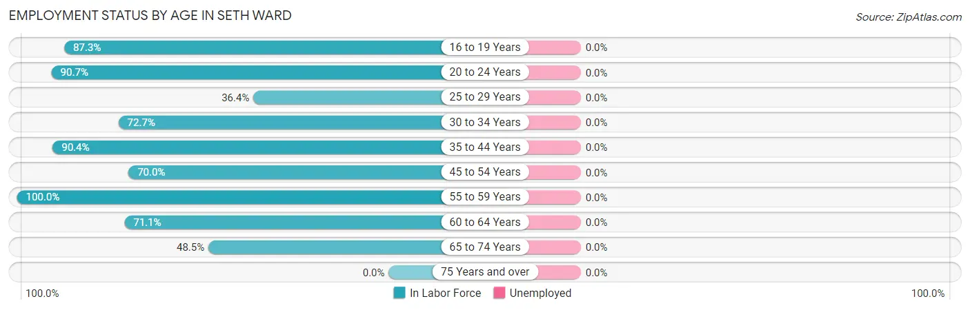 Employment Status by Age in Seth Ward
