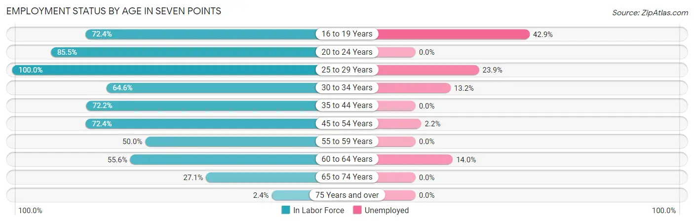 Employment Status by Age in Seven Points