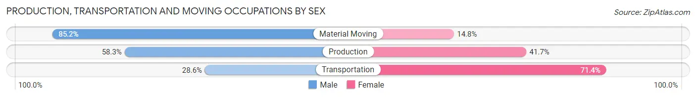 Production, Transportation and Moving Occupations by Sex in Seven Points