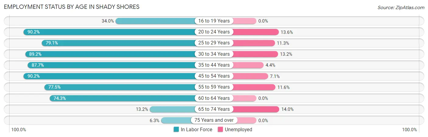 Employment Status by Age in Shady Shores