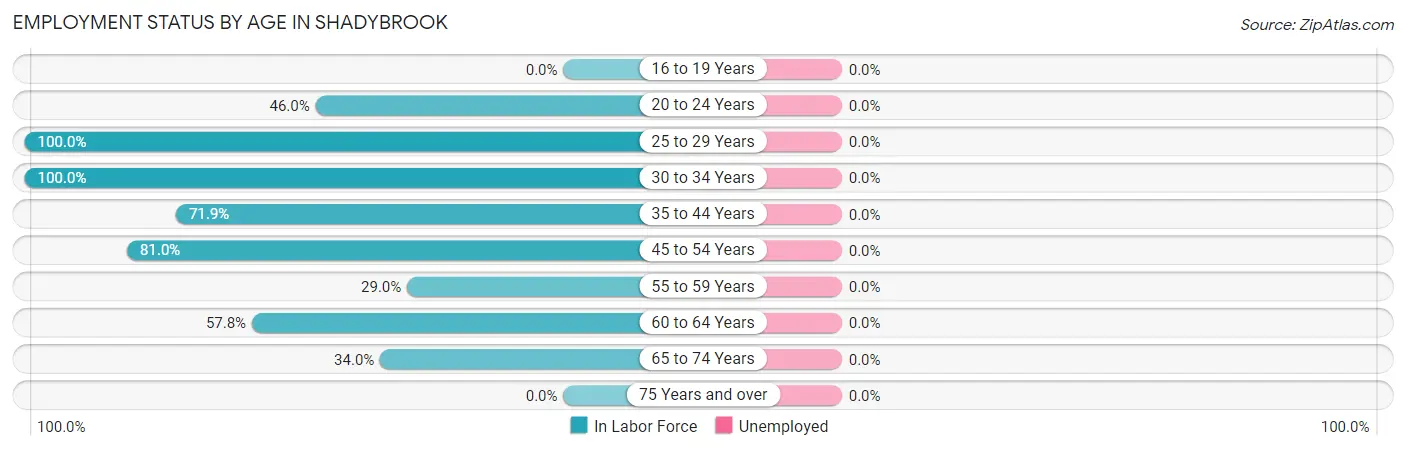 Employment Status by Age in Shadybrook