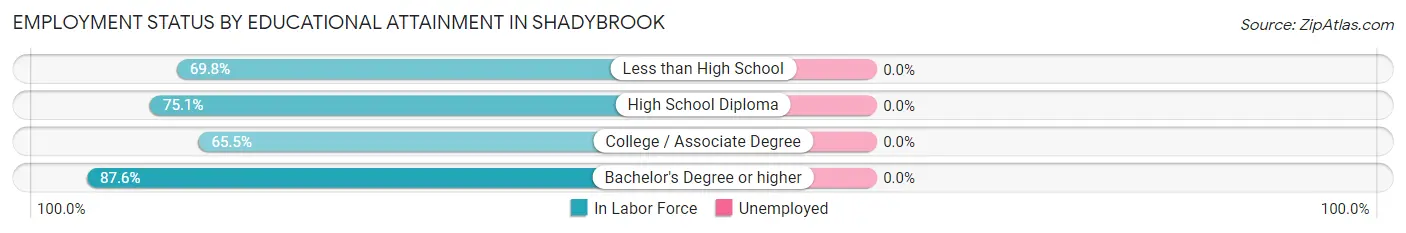 Employment Status by Educational Attainment in Shadybrook