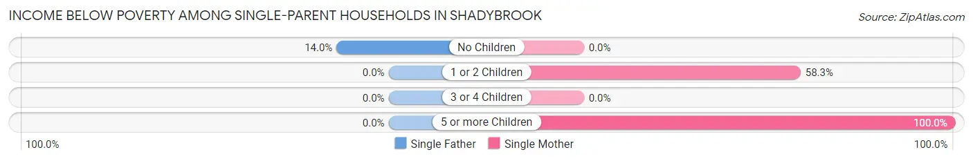 Income Below Poverty Among Single-Parent Households in Shadybrook