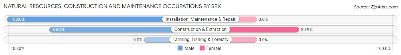Natural Resources, Construction and Maintenance Occupations by Sex in Shadybrook