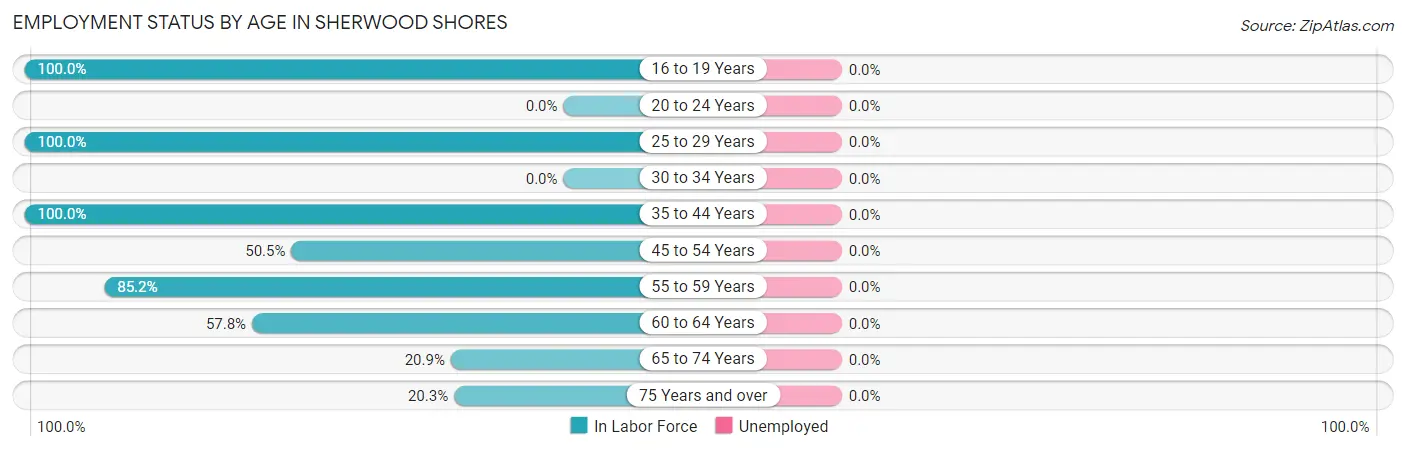 Employment Status by Age in Sherwood Shores
