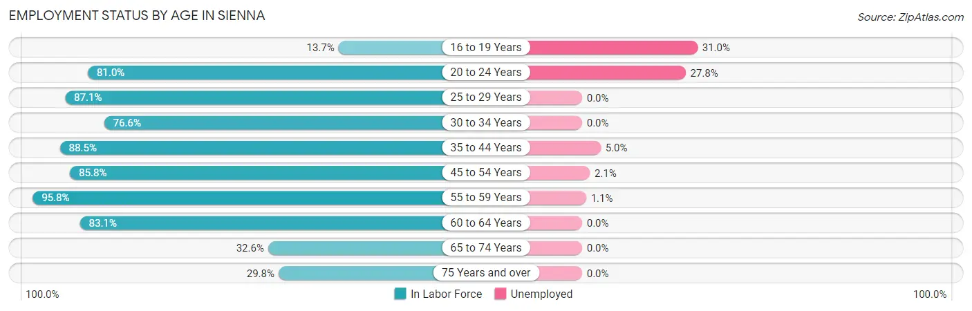 Employment Status by Age in Sienna