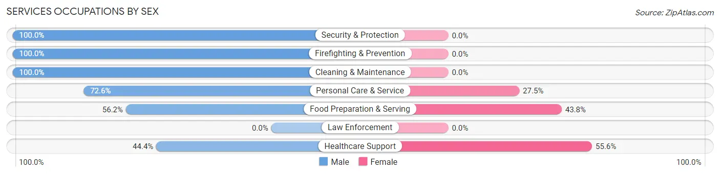 Services Occupations by Sex in Sienna