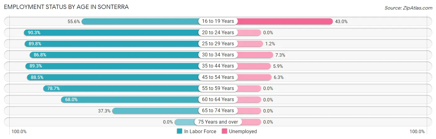 Employment Status by Age in Sonterra