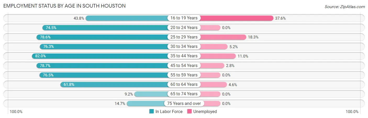 Employment Status by Age in South Houston