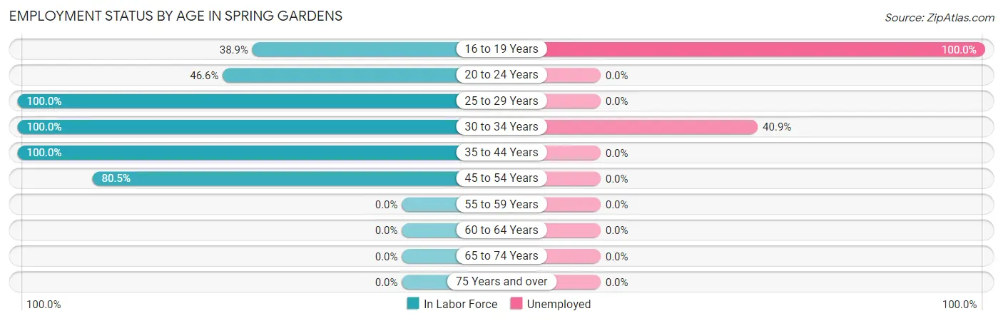 Employment Status by Age in Spring Gardens