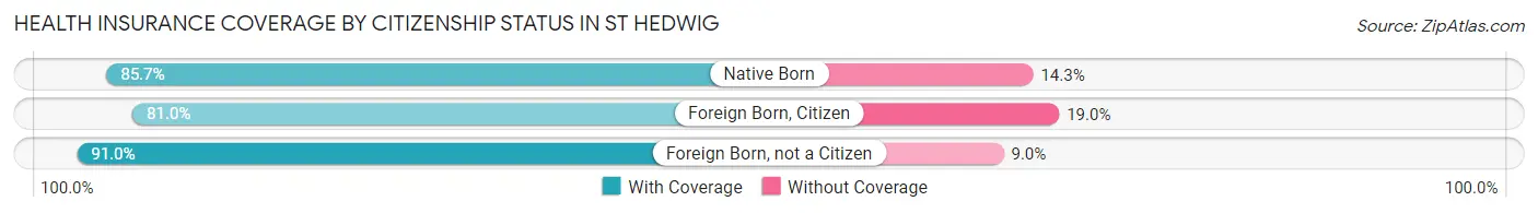 Health Insurance Coverage by Citizenship Status in St Hedwig