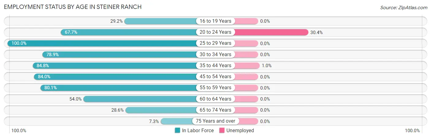 Employment Status by Age in Steiner Ranch