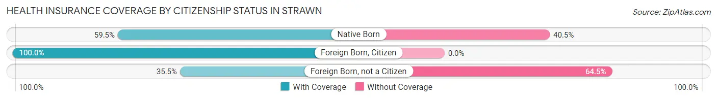 Health Insurance Coverage by Citizenship Status in Strawn