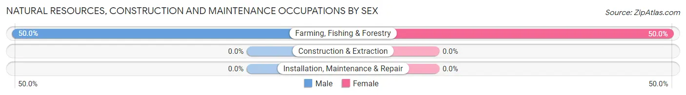 Natural Resources, Construction and Maintenance Occupations by Sex in Study Butte