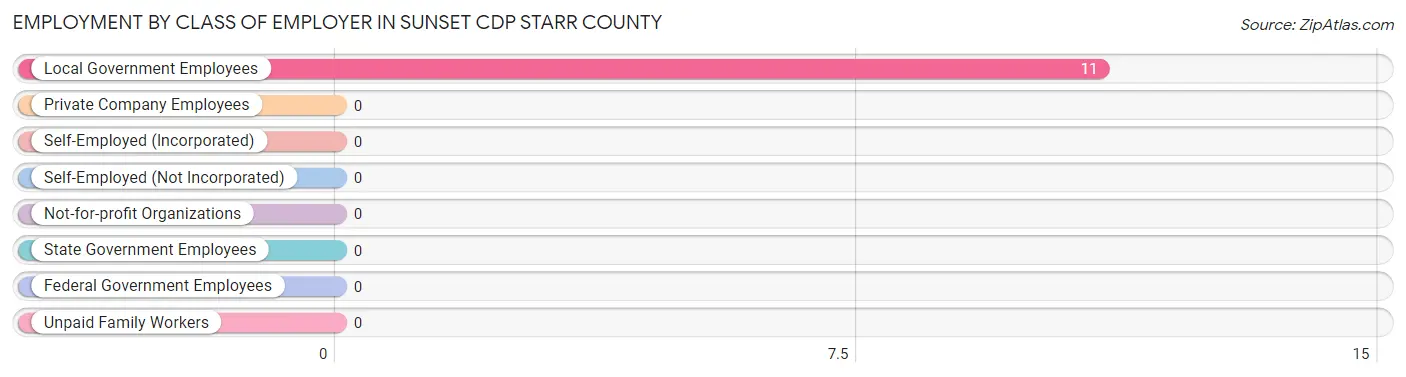 Employment by Class of Employer in Sunset CDP Starr County