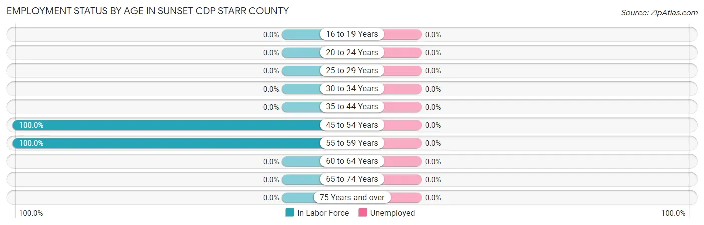 Employment Status by Age in Sunset CDP Starr County