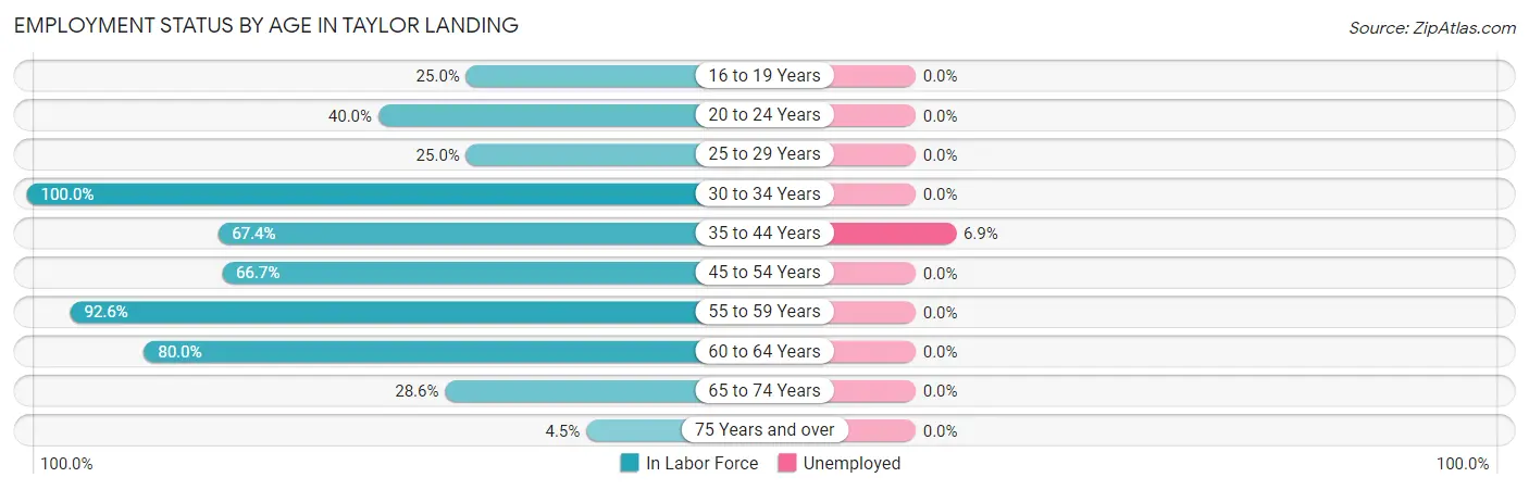 Employment Status by Age in Taylor Landing