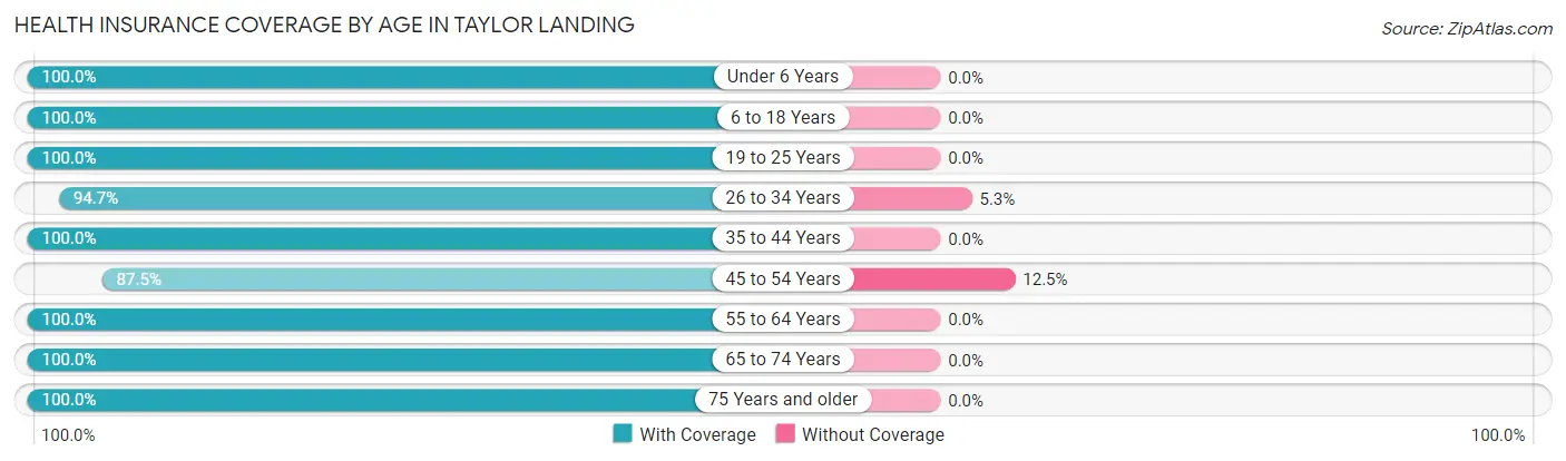 Health Insurance Coverage by Age in Taylor Landing