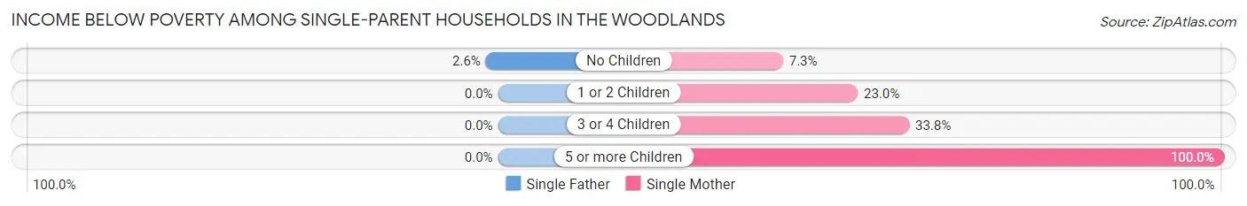 Income Below Poverty Among Single-Parent Households in The Woodlands