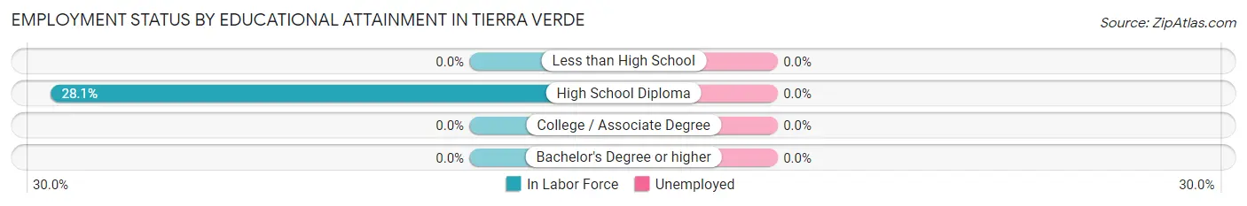 Employment Status by Educational Attainment in Tierra Verde