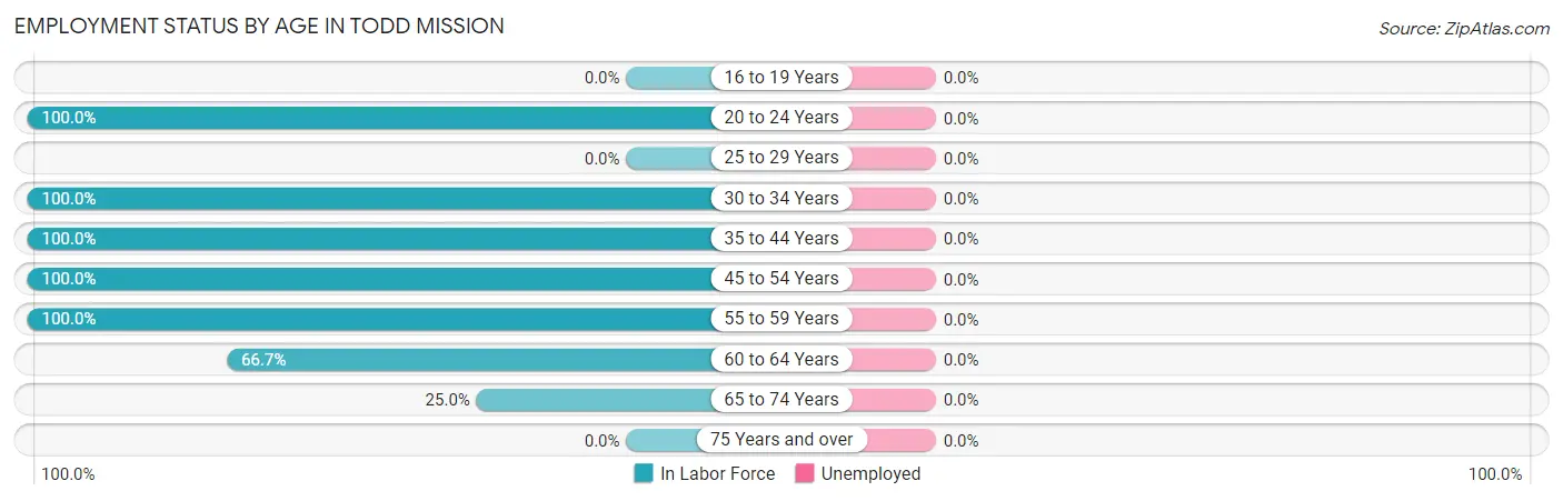 Employment Status by Age in Todd Mission