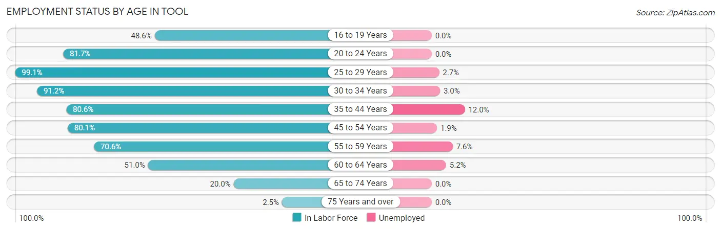 Employment Status by Age in Tool