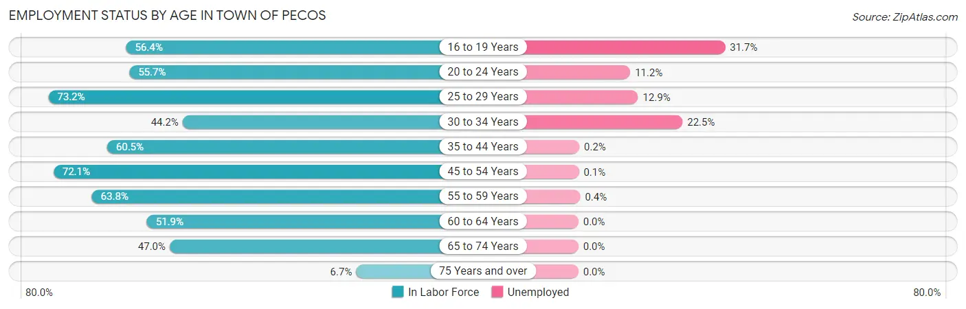 Employment Status by Age in Town of Pecos