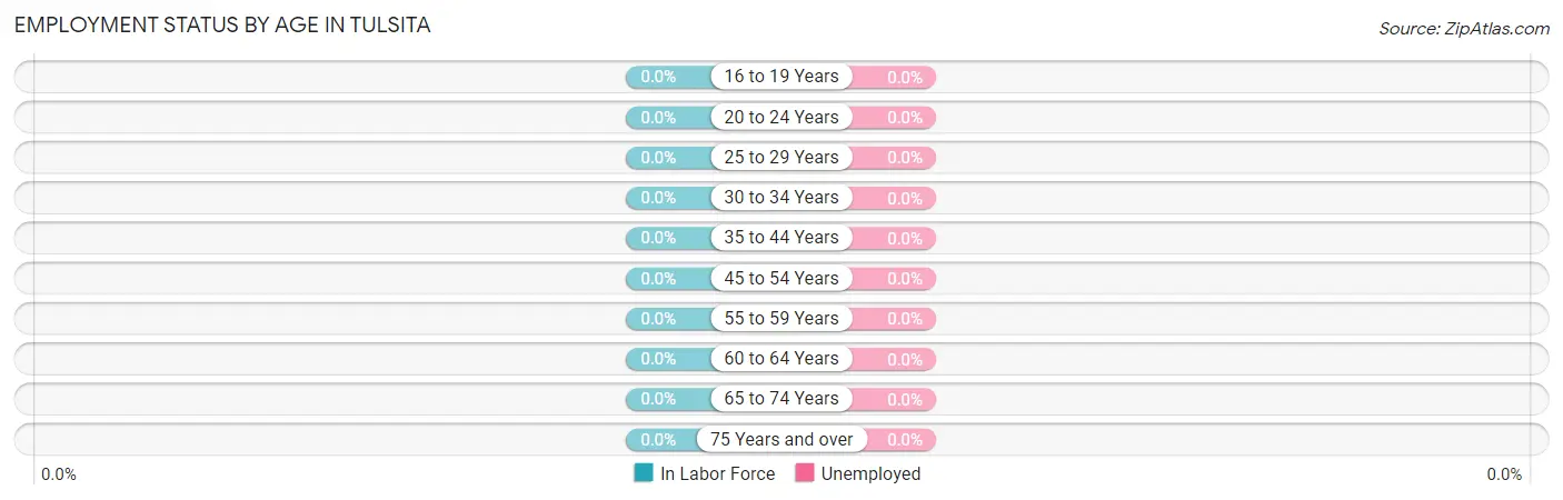 Employment Status by Age in Tulsita
