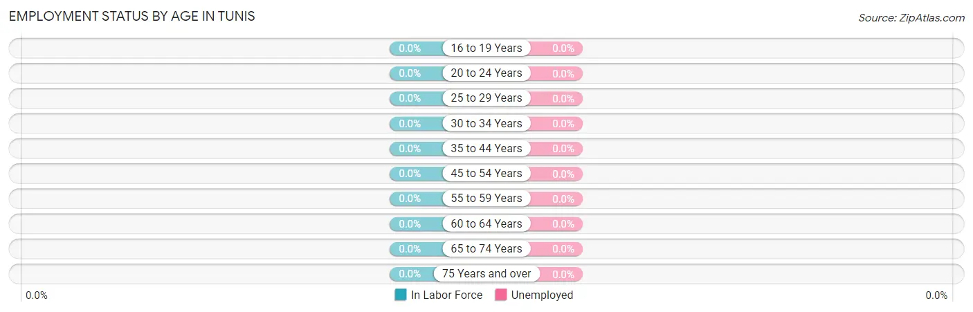 Employment Status by Age in Tunis