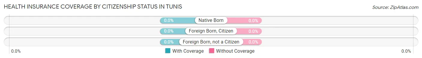 Health Insurance Coverage by Citizenship Status in Tunis