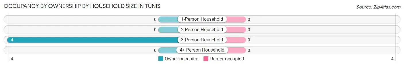 Occupancy by Ownership by Household Size in Tunis